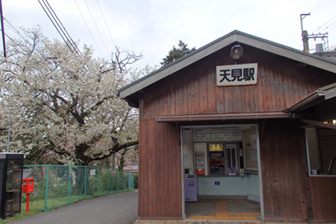2015-4-9amami01-2.jpg