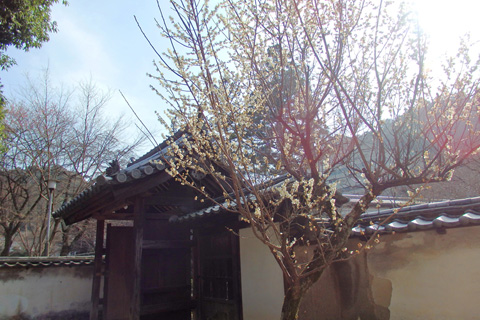 2015-3-17kongouji04-2.jpg