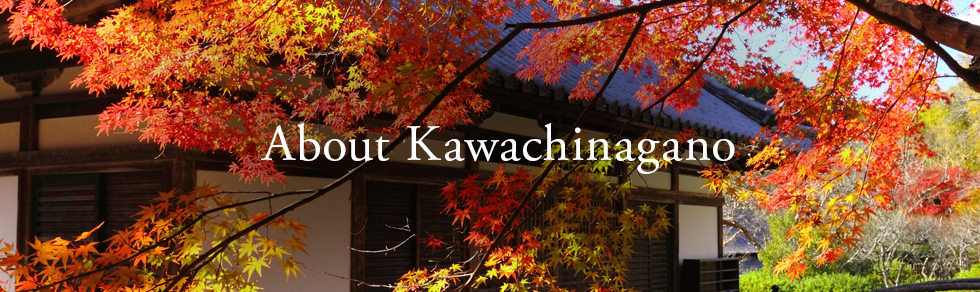 About Kawachinagano