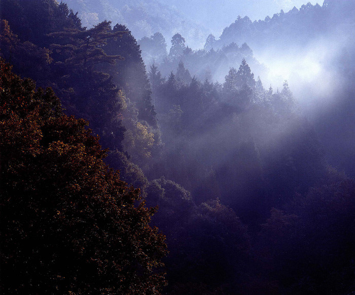 富士フイルム賞 「秋から冬へ」滝畑