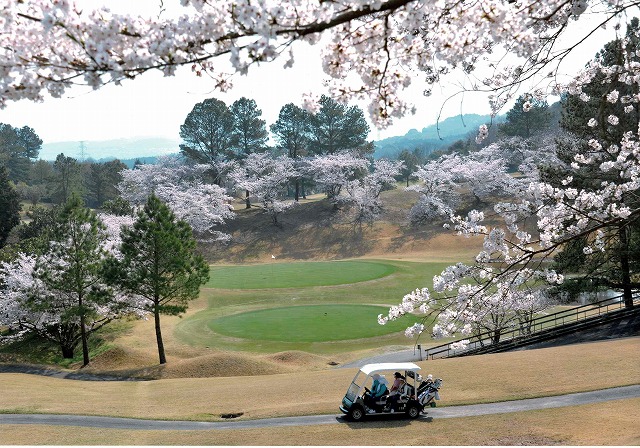 天野山カントリークラブ賞 「ゴルフ場の春」天野山カントリークラブ