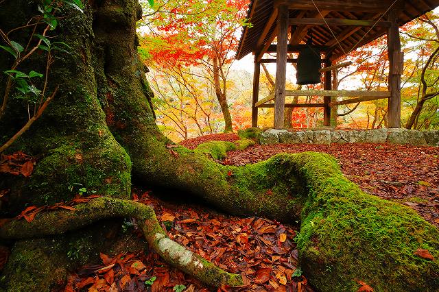 富士フイルムイメージングシステムズ賞 地をはう木根地蔵寺