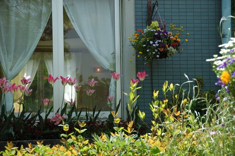 花の文化園フルル賞 「憩いの窓辺」花の文化園