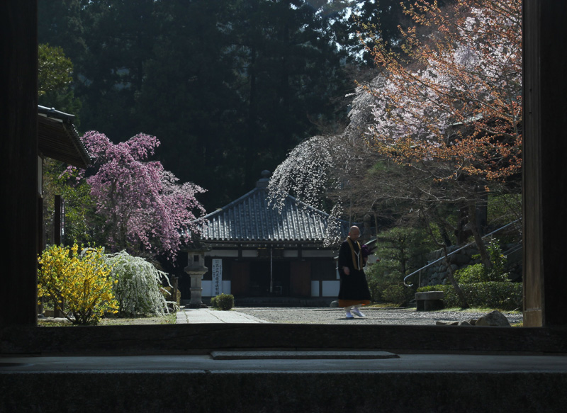 大阪写真材料商業組合理事長賞 「寺の春」延命寺