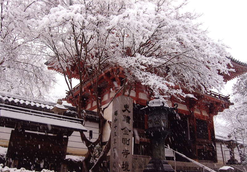 大阪府知事賞 「雪の花」天野山金剛寺