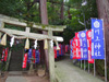 秋祭り情報―川上神社― 『稚児相撲』