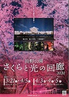 【開催中止】長野公園　さくらと光の回廊2020 夜桜ライトアップ