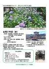 2024年初夏のウォーク　ボランティアガイドと巡る「河合寺・長野公園の紫陽花を愛で長野神社へ」