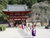 天野山金剛寺　節分法要