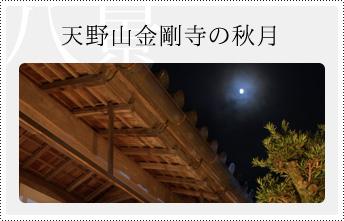 天野山金剛寺の秋月